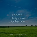 Yoga Sounds, Spa Relaxation, Relaxing Sleep Music - At One With Nature