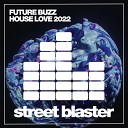 Future Buzz - House Love Seamus Rogers Remix