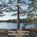 Sleep Music Relaxing Music Yoga - Soft Music Pt 76