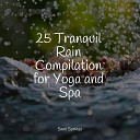 Tranquil Music Sound of Nature Sleep Music System Yoga… - Lightly Sprinkling