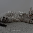 Cat Music Dreams Music For Cats Peace Pet Care… - Sounds of the Ocean