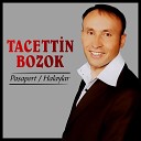 Tacettin Bozok - Yandan Gel Halaya