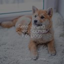 Music for Pets Library Music for Leaving Dogs Home Alone Music for Dog s… - Soft Chords