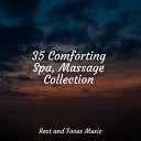 Study Zone Sounds of Nature White Noise for Mindfulness Meditation and Relaxation Best Relaxing SPA… - Warmth in the Sea