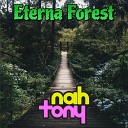 Nah Tony - Eterna Forest From Pok mon Diamond Pearl Cover…