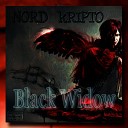 ARTEM NORD feat Kripto - Black Widow