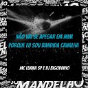 DJ Bigodinho MC Luana SP - N o Vai Se Apegar em Mim Porque Eu Sou Bandida…