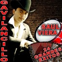 Saul Viera el Gavilancillo - Aurelio S nchez Quintero