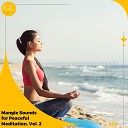Ronny XS - Beach Side Meditation