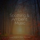 Relaxing Mindfulness Meditation Relaxation Maestro Sounds Of Nature Thunderstorm Relajaci… - Spirit Awakening