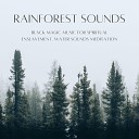 Emmanuel Forest - The Wind in the Trees