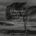 Spa Relaxation Lullabies for Deep Meditation… - Cloud Soft Nine