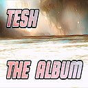 TESH - Dance Album Version