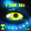 DJ Terra - I Can See