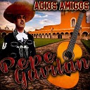 Pepe Gavilan - Adios Amigos