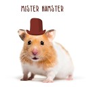 Beepcode - Mister hamster hello