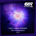 F zzy BR Gabe Miranda feat Thayana Valle - Disco Extended Mix