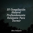 Naturaleza Relajacion Musica Para Dormir y Sonidos de la Naturaleza Massagem M… - El Fin De Hoy