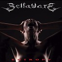 Selfaware - Chaos Theory