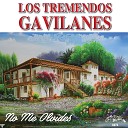 Los Tremendos Gavilanes - Mis Pensamientos
