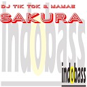 DJ Tik Tok Mamae - Sakura Radio Mix