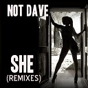 Not Dave - She Rock My Heart Mix