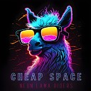 Cheap Space - Neon Lama Riders