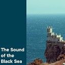 The Healing Project - The Sound of Black Sea