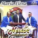Nestor y Su Son de Cumbia - Al Son de Mi Guirito
