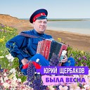 Юрий Щербаков - Андрюша