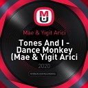 Tones And I - Dance Monkey Mae Yigit Arici Remix