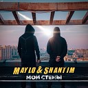 Maylo Shantim - Мои стены