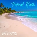 DMT Cymatics - Tropical House