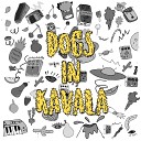Dogs in Kavala - Boje