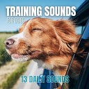 We Make Sounds - In the Car Sound for Dogs