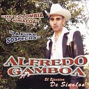 Alfredo Gamboa - De Colombia a Sinaloa
