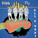 Alek Fly - Simple Song