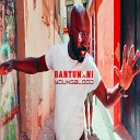 Bantunani feat Anar Bramo Sahib Pashazade Misato… - Young Blood The Silence of Peace