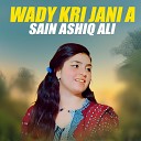 Sain Ashiq Ali - Wady Kri Jani A