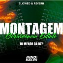 DJ Menor da Dz7 - Montagem Clarivid ncia Extinta Slowed Reverb