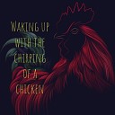 Relajacion By RelaxingD Alejandro Duran Mesa - Waking up with the chirping of a chicken