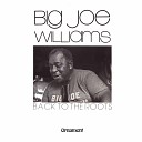 Big Joe Williams - This Little Light O mine