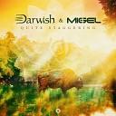 Darwish Migel - Quite Staggering Original Mix