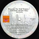 Mr Fingers - Praise to the Vibes Mr Fingers Extended…