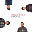 Vitreous Humor - Why Are You so Mean to Me