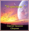Сергей Чекалин - Весна и серая осень