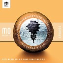 Mozarteumorchester Salzburg Riccardo Minasi - I Allegro Moderato