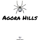 Diamond Audio - Agora Hills