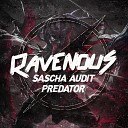Sascha Audit - Predator
