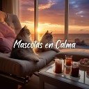 Mascotas tranquilas - Espiral del Siamese